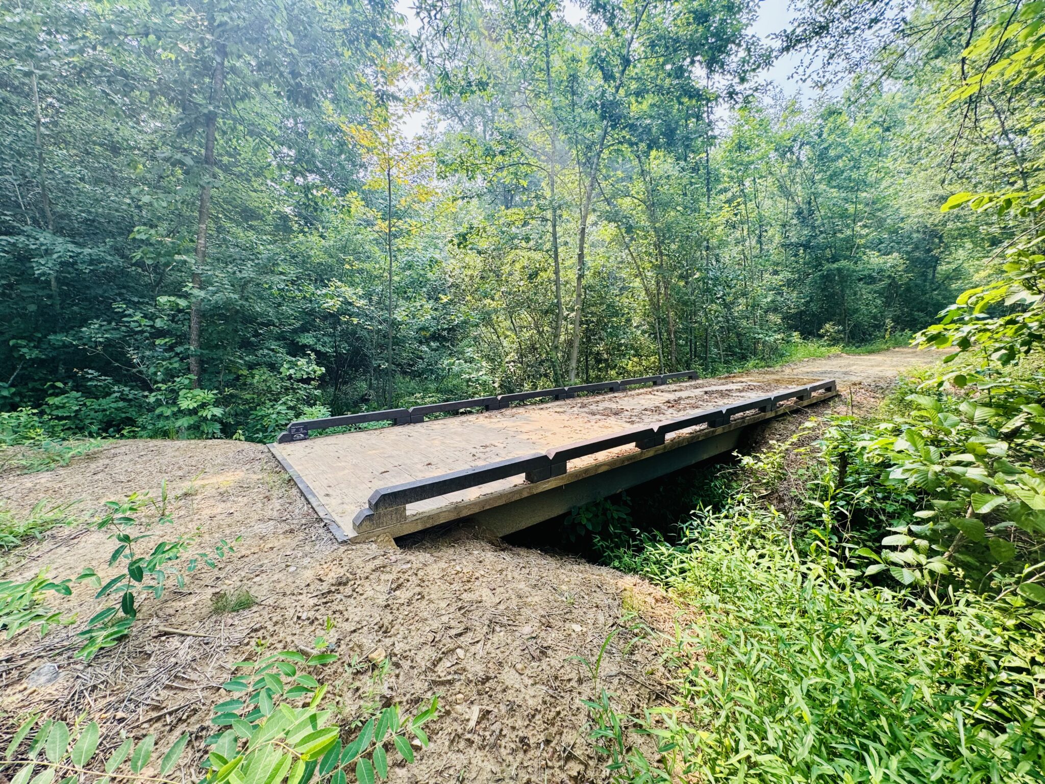 Custom fiberglass bridge crossing the wetland area on the Blackwater Creek Trail system.