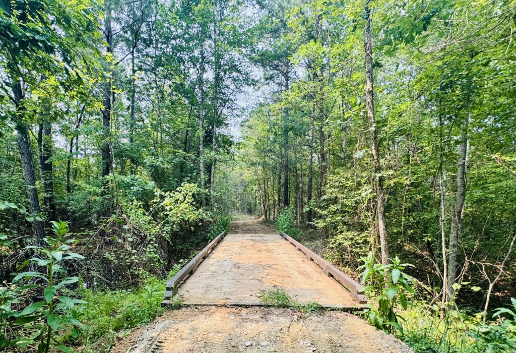 Custom fiberglass bridge crossing the wetland area on the Blackwater Creek Trail system.